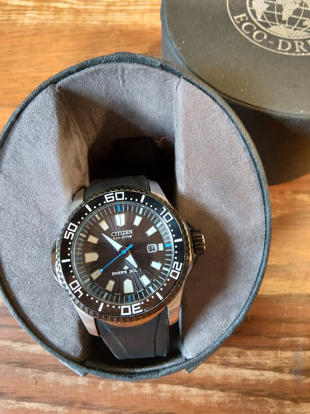 Citizen Postmaster Eco-Drive Diver